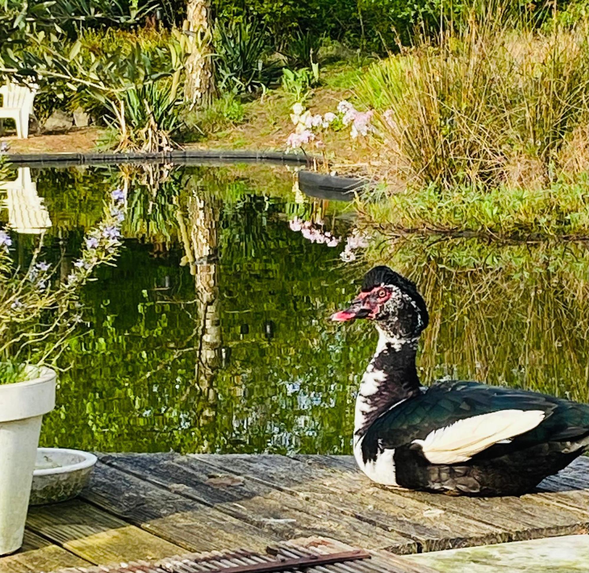 Ecolodge Almere Bed & Breakfast