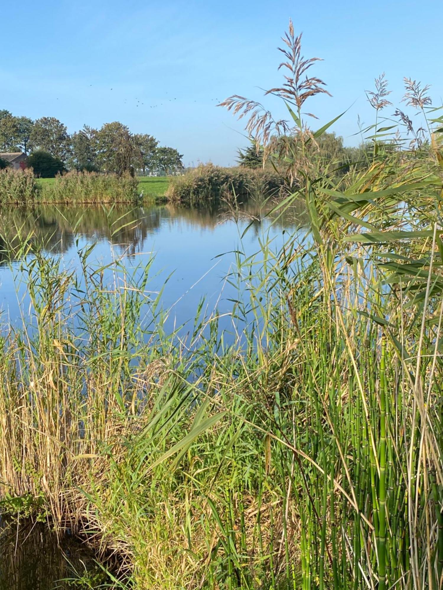 Ecolodge Almere Bed & Breakfast