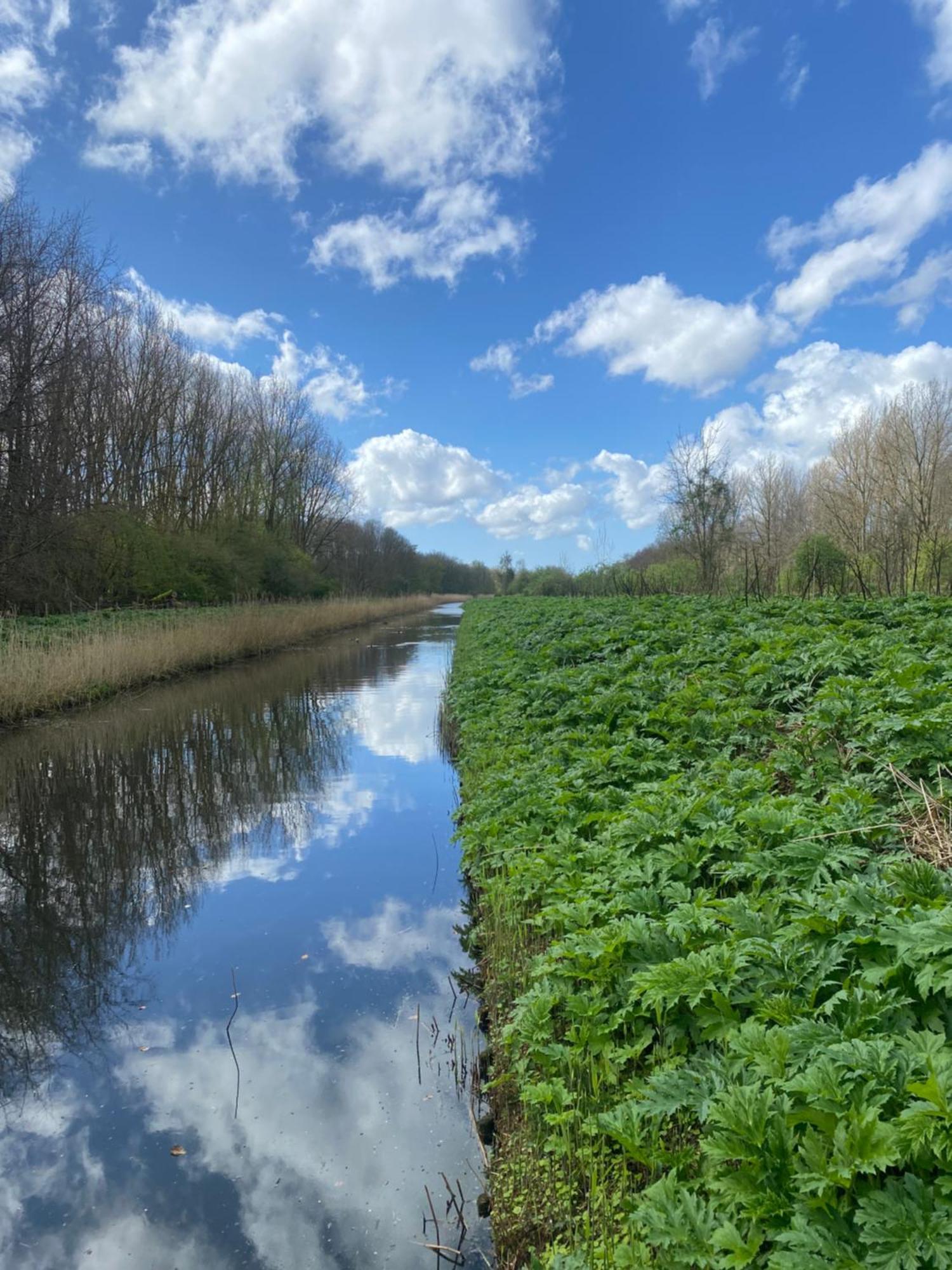 Ecolodge Almere Bed & Breakfast